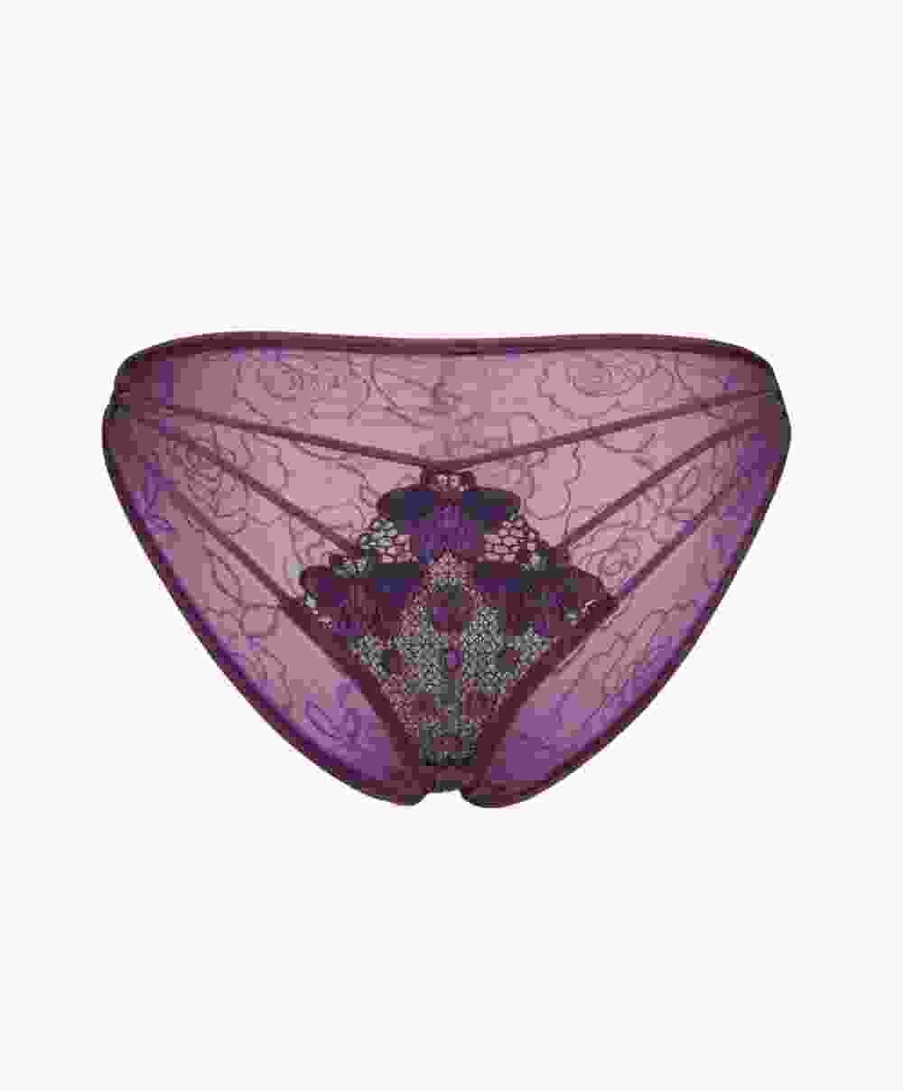 Embroidery Mesh Lingerie